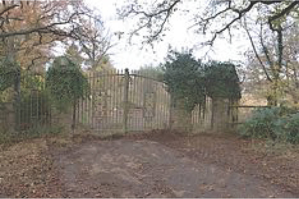 land-/ forstwirtschtl. Flächen in Bei Dainz, 56812 Valwig - Bild 4