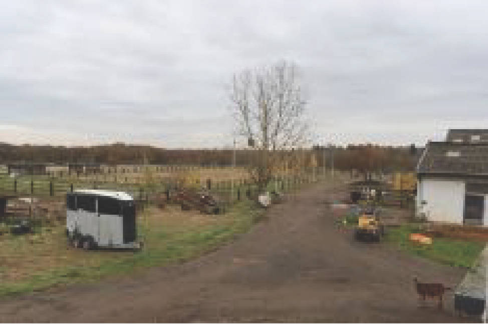 land-/ forstwirtschtl. Flächen in Förstgern, 56812 Valwig - Bild 5