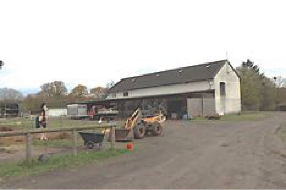 land-/ forstwirtschtl. Flächen in Bei Dainz, 56812 Valwig - Bild 2