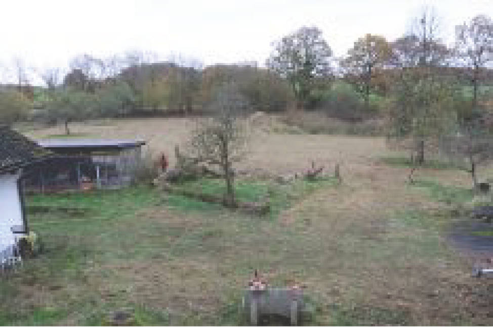land-/ forstwirtschtl. Flächen in Bei Dainz, 56812 Valwig