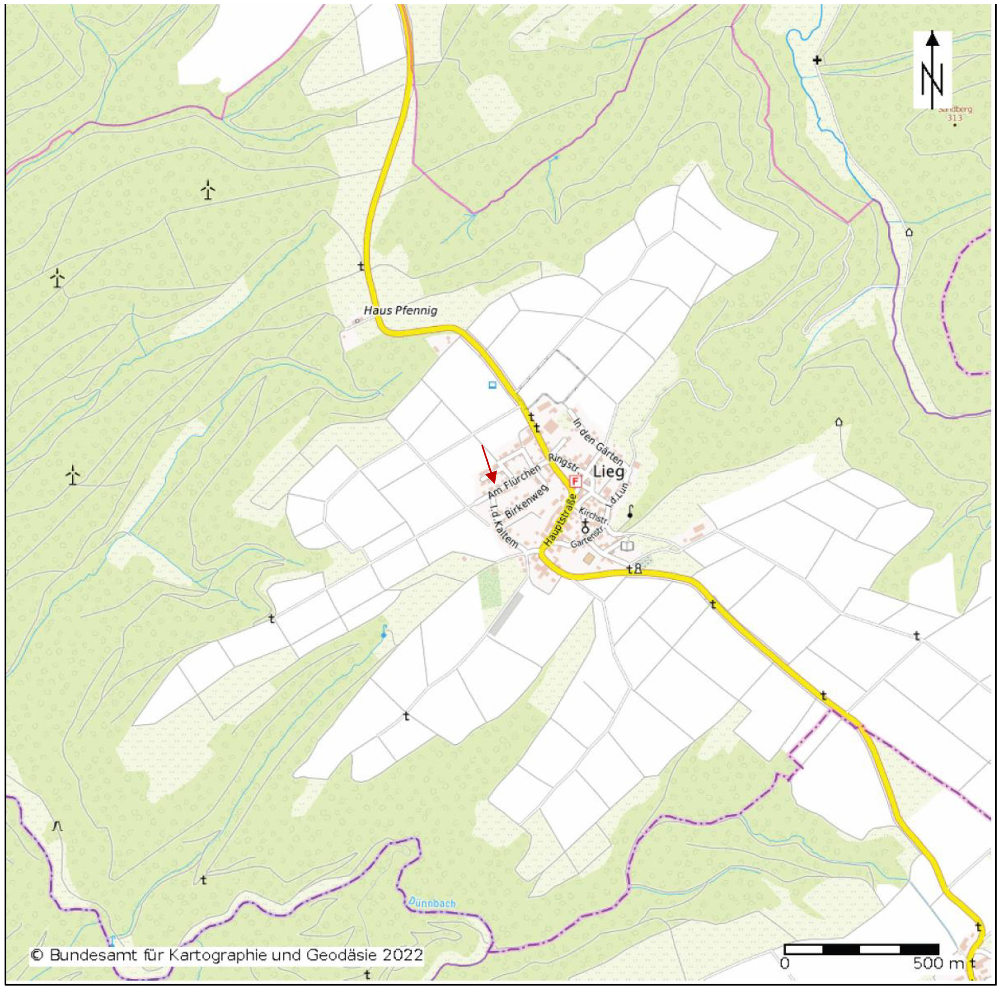 rheinland-pfalz 13 K 11/22 Am Flürchen14, 56290 Lieg 7