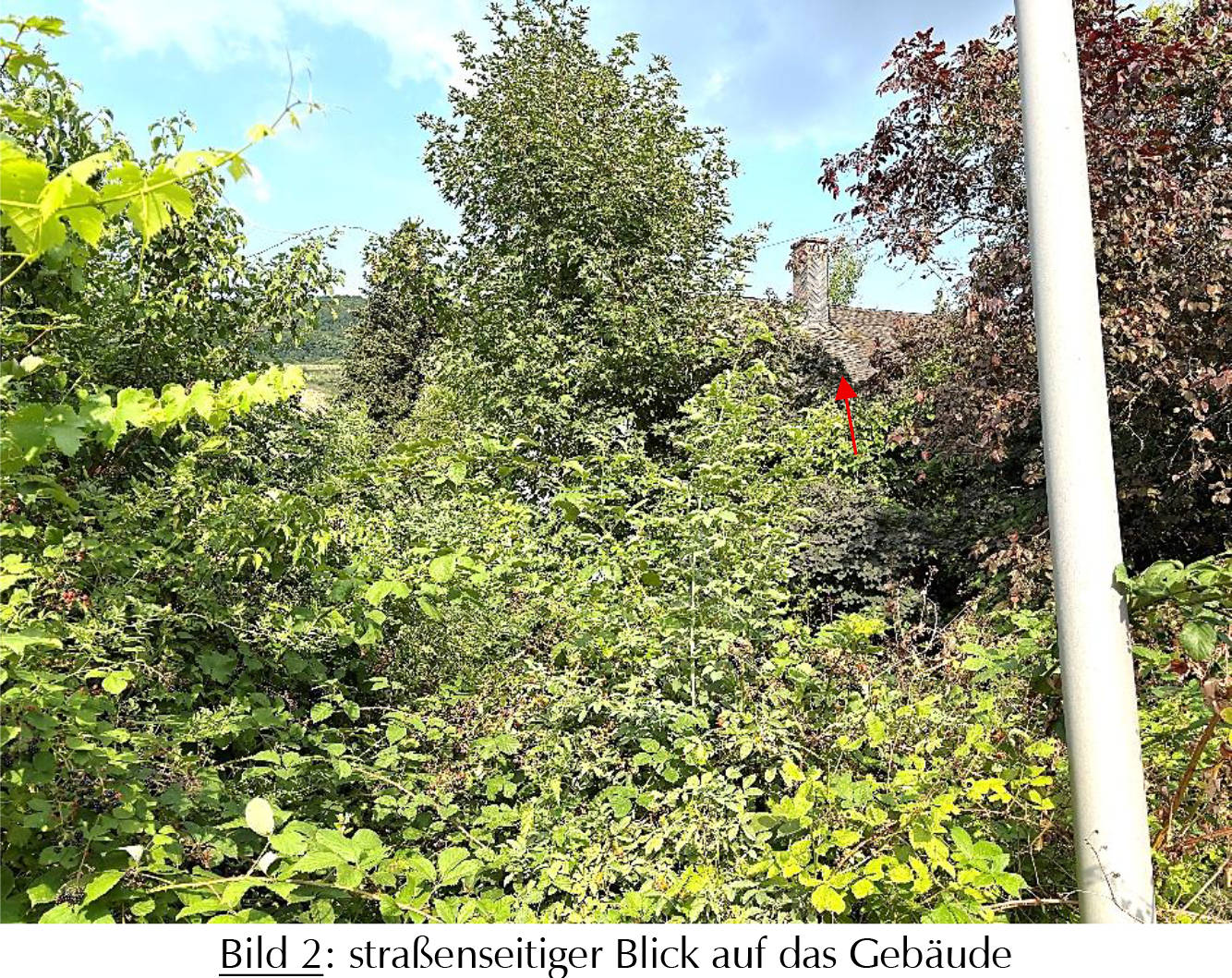 Anwesen in Marientaler Au 50, 56856 Zell (Kaimt)