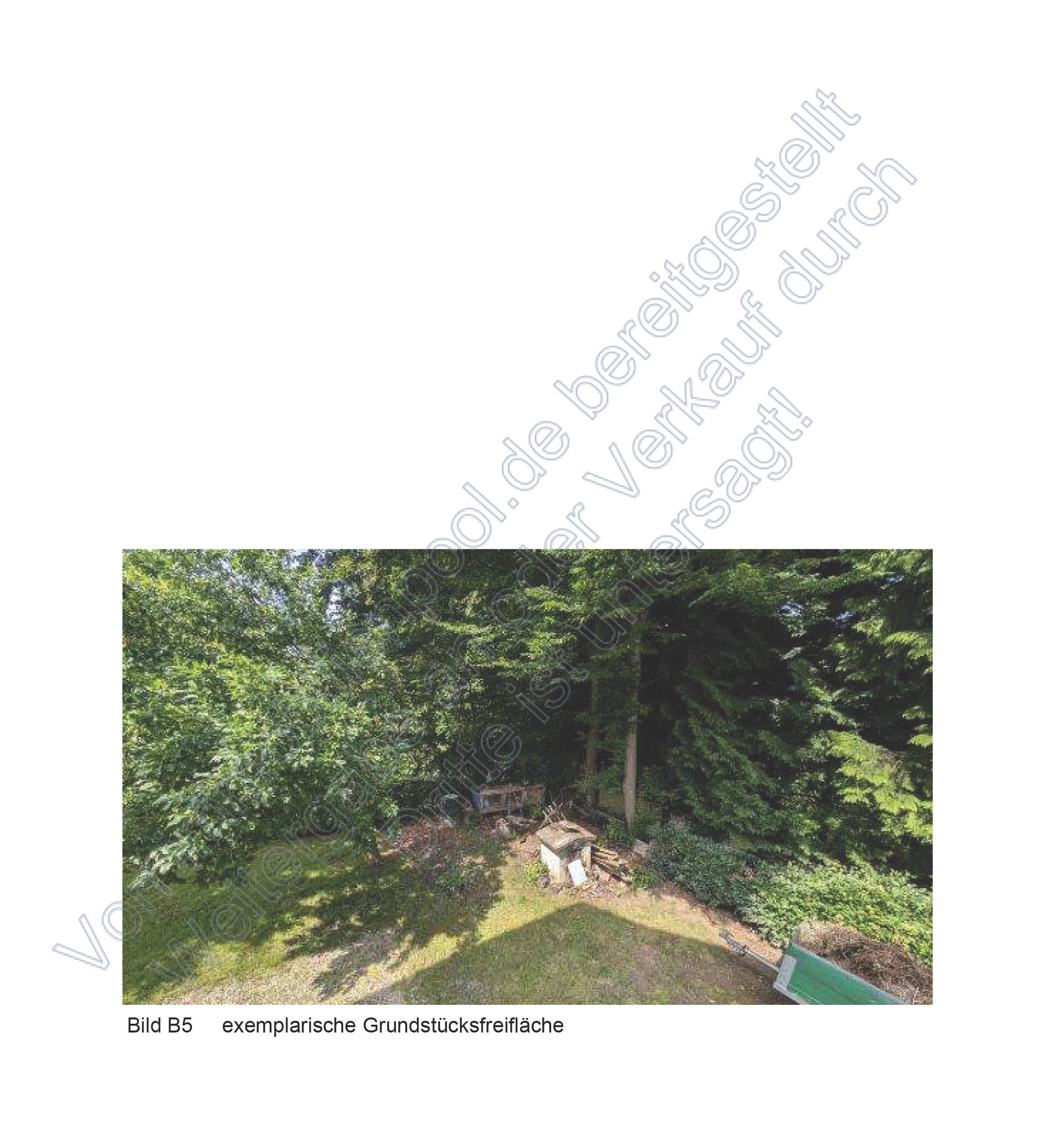 rheinland-pfalz 13 K 51/24 Hauptstraße 34, 57627 Astert 8