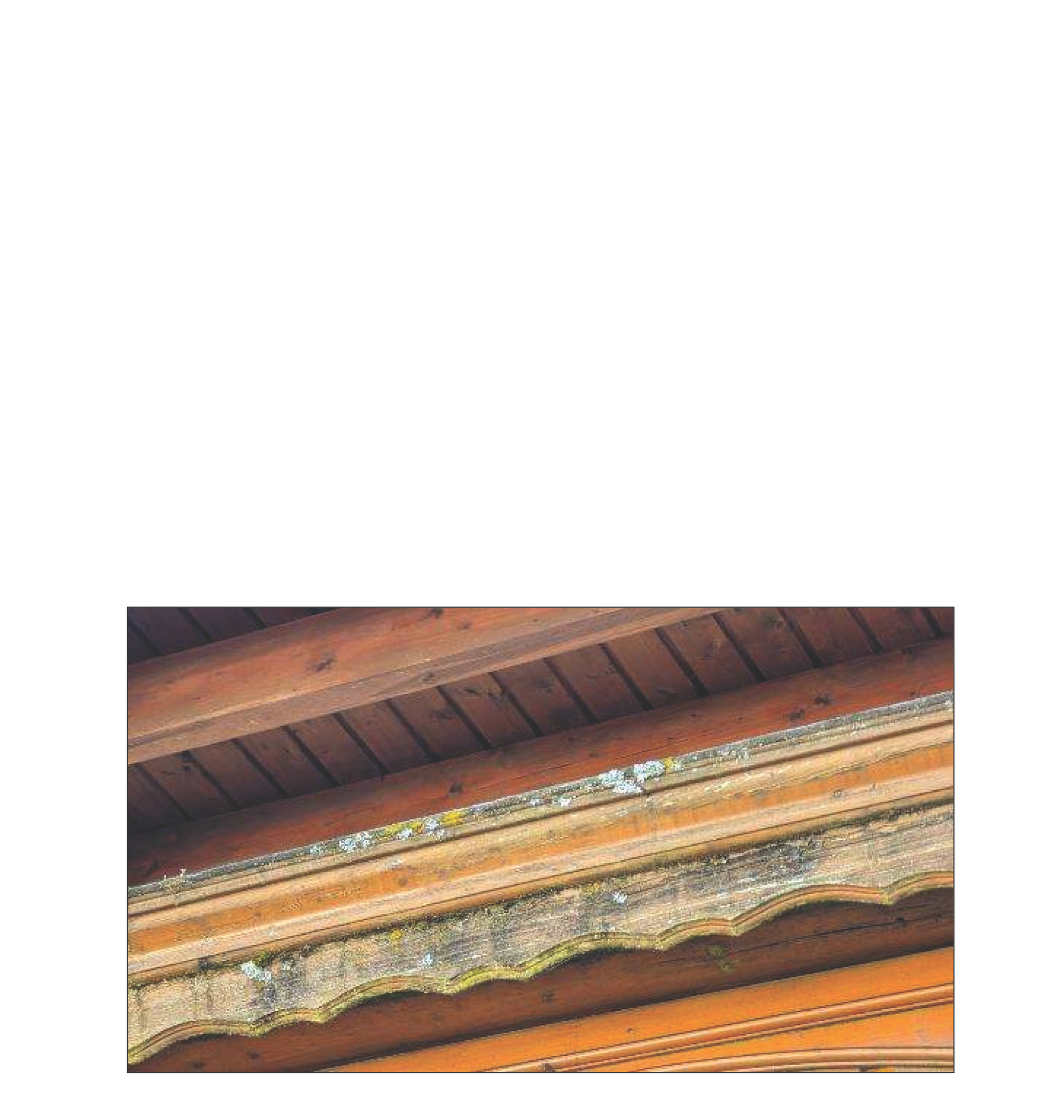 rheinland-pfalz 13 K 55/24 Hauptstraße 7A, 57629 Luckenbach 15