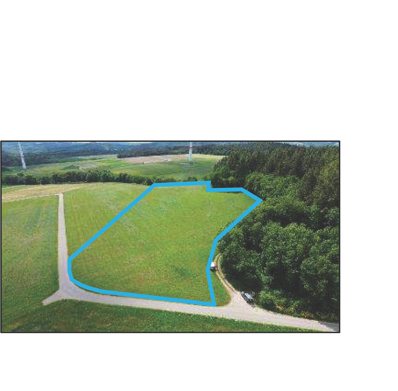 Landwirtschaftsfläche in 56729 Nachtsheim - Bild 3