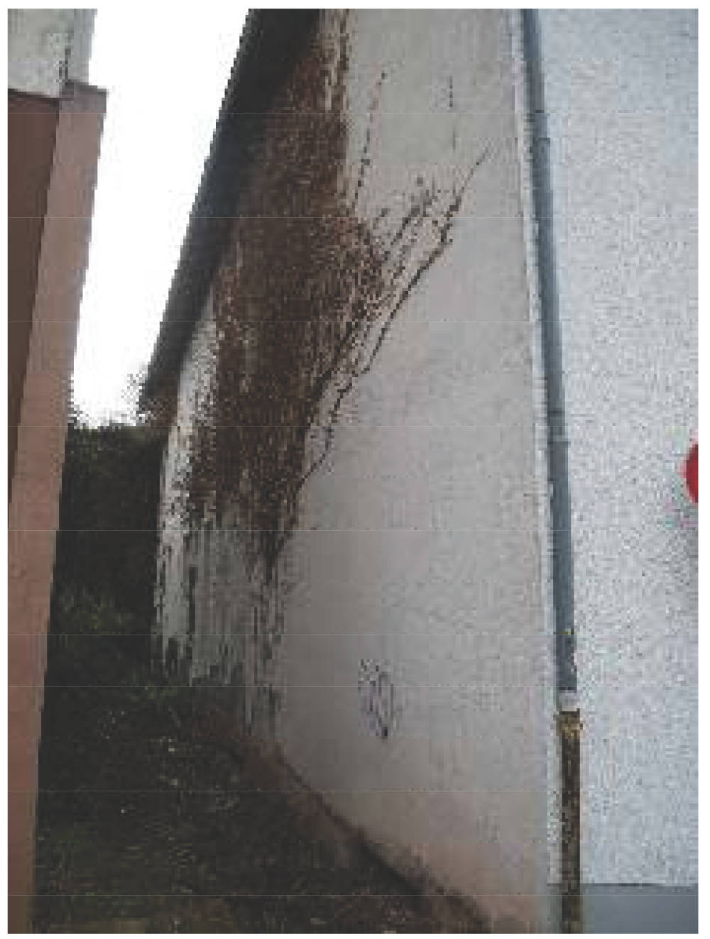 Zweizimmerwohnung in Blumenstraße 12, 66953 Pirmasens - Bild 5