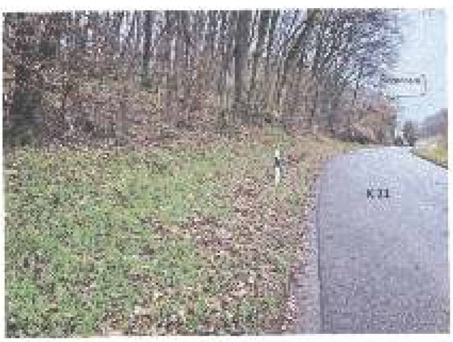 Einfamilienhaus, land- und forstwirtschaftlich genutztes Grundstück in Holbornerhof 1, 67700 Niederkirchen - Bild 5