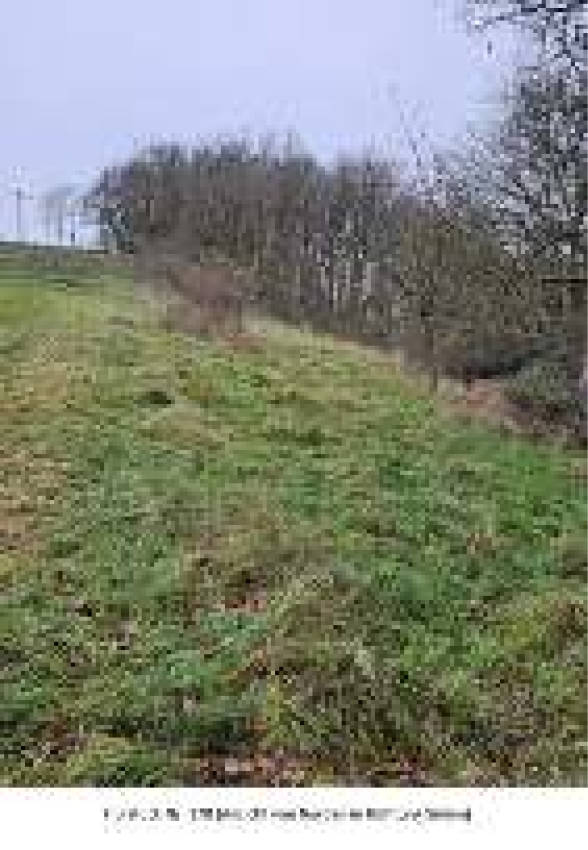 Einfamilienhaus, land- und forstwirtschaftlich genutztes Grundstück in Holbornerhof 1, 67700 Niederkirchen - Bild 4