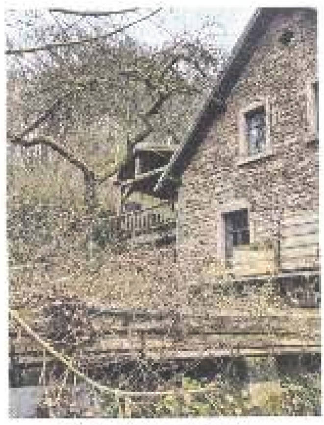 Einfamilienhaus, land- und forstwirtschaftlich genutztes Grundstück in Holbornerhof 1, 67700 Niederkirchen - Bild 3