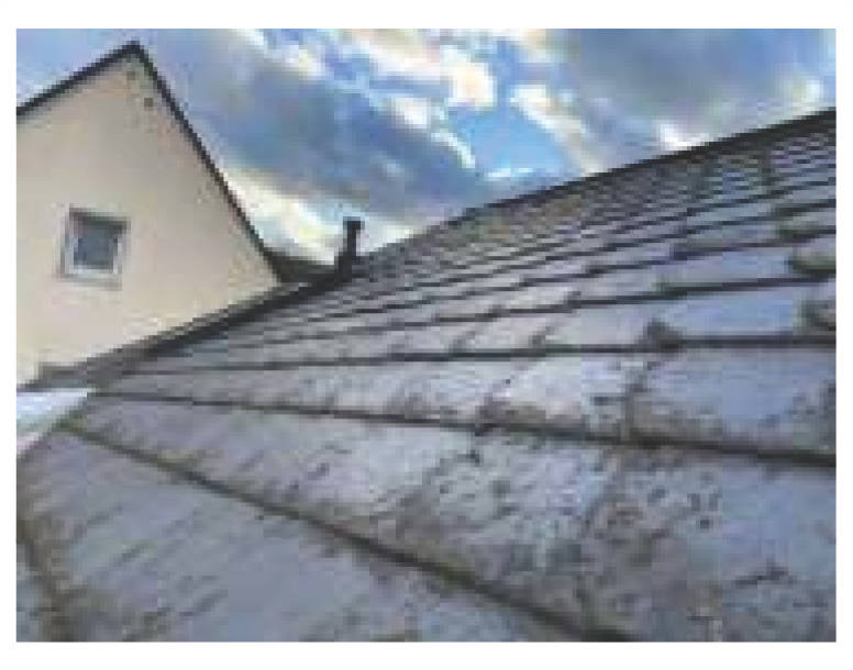 rheinland-pfalz 23 K 24/25 Schubertstraße 10, 54329 Konz 13