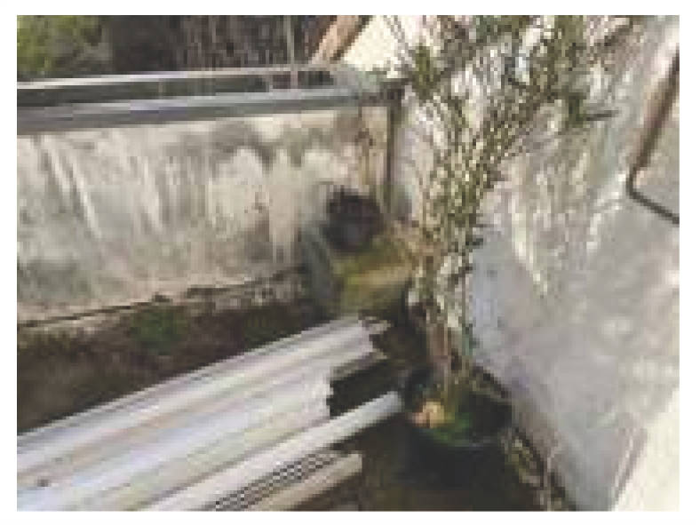 rheinland-pfalz 23 K 24/25 Schubertstraße 10, 54329 Konz 21