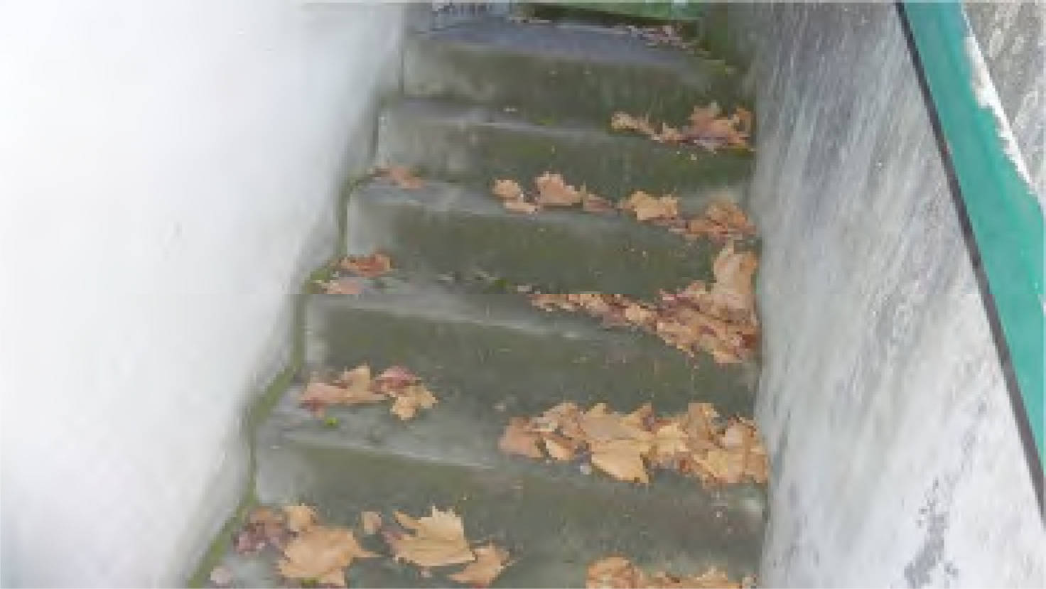 rheinland-pfalz 260 K 21/23 Am Gonsenheimer Spieß 89, 55122 Mainz 14