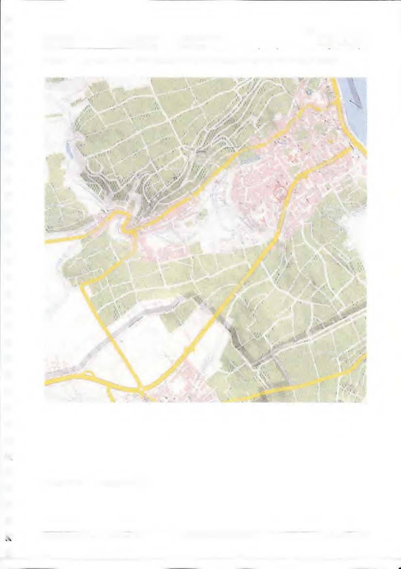 rheinland-pfalz 260 K 30/24 Daubhausstraße 28, 55283 Nierstein 6