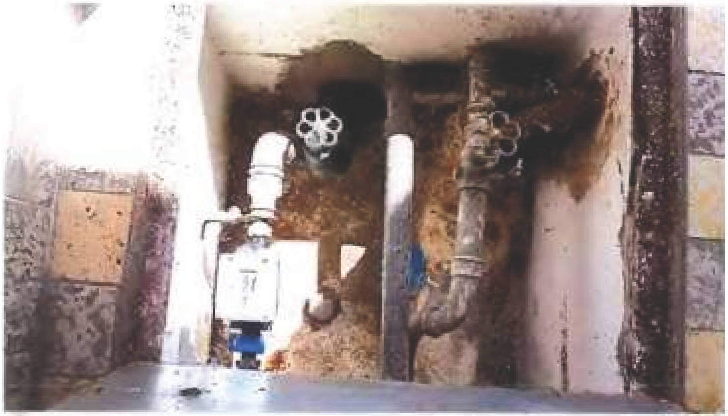 rheinland-pfalz 260 K 52/23 Im Borner Grund 48, 55127 Mainz - Marienborn 25