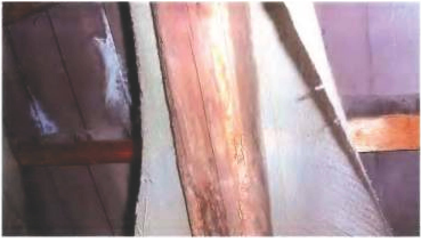 rheinland-pfalz 260 K 52/23 Im Borner Grund 48, 55127 Mainz - Marienborn 14