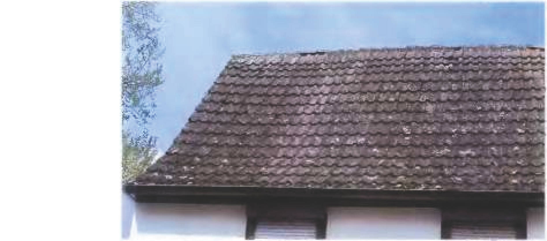 rheinland-pfalz 260 K 52/23 Im Borner Grund 48, 55127 Mainz - Marienborn 16