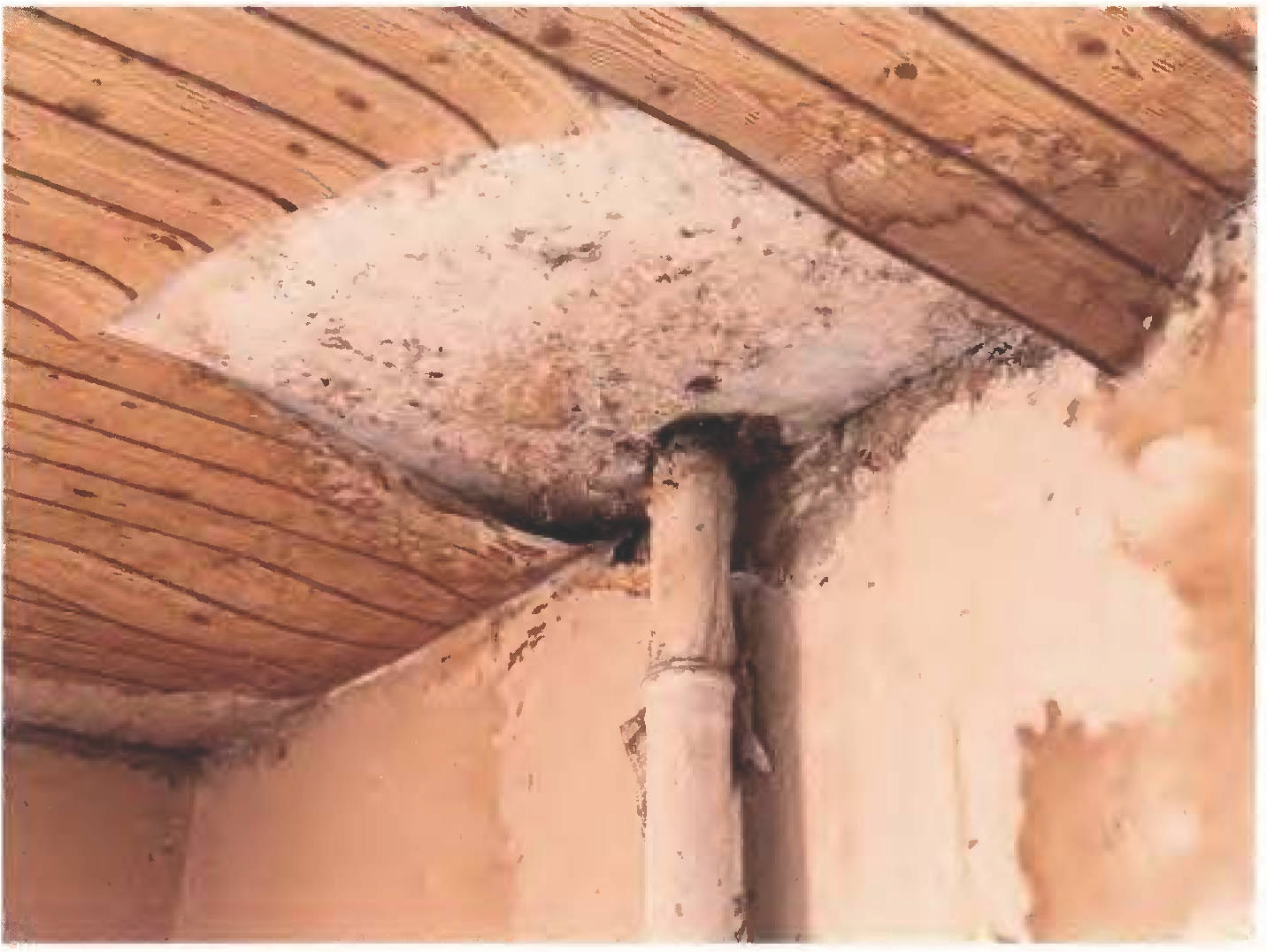 rheinland-pfalz 260 K 54/23 Pfarrgasse 12, 55130 Mainz 14