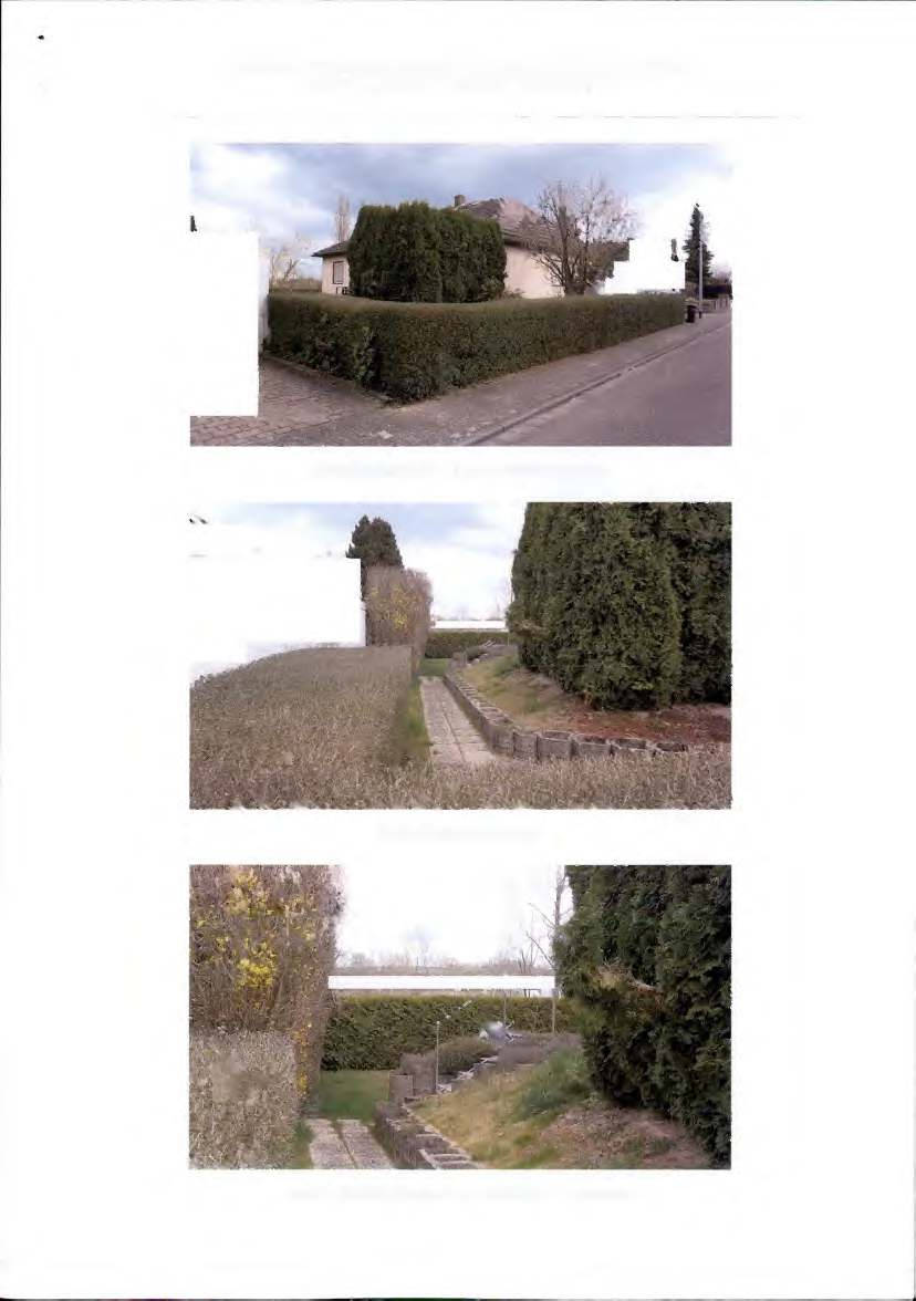 Einfamilienhaus in An der Pfingstweide 31, 55278 Hahnheim - Bild 4