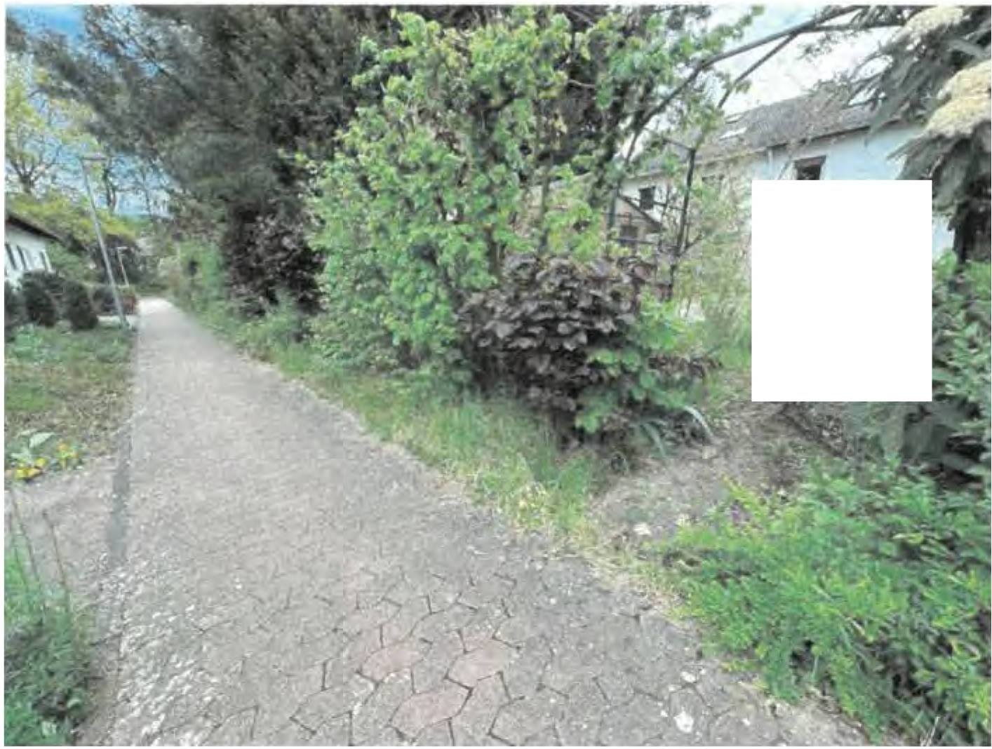 Reihenhaus in Rilkeallee 43a, 55127 Mainz - Bild 5