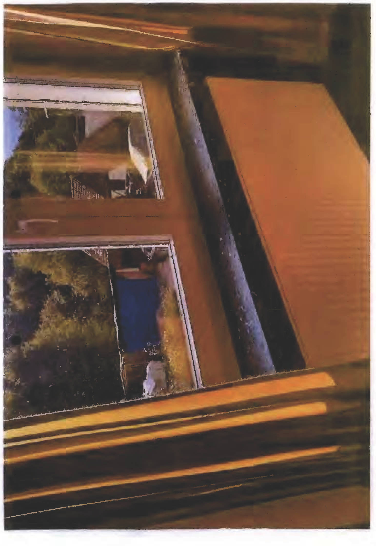 rheinland-pfalz 3 K 50/24 Hauptstraße 27, 66996 Schönau (Pfalz) 14