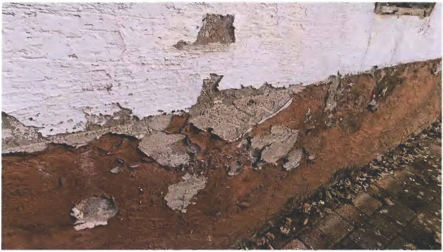 rheinland-pfalz 3 K 50/24 Hauptstraße 27, 66996 Schönau (Pfalz) 10