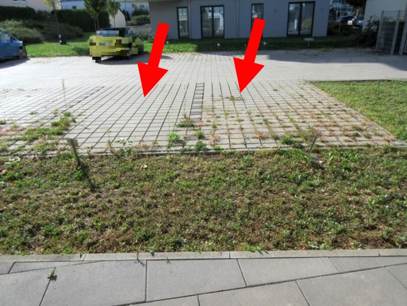 1- bis 2,5-Zimmer-Wohnung in Albert-Haueisen-Ring 26, 67071 Ludwigshafen am Rhein - Oggersheim - Bild 3