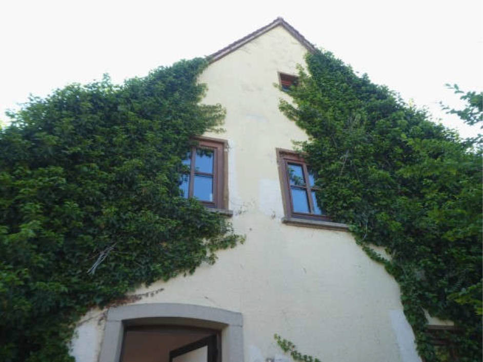 Einfamilienhaus in Carl-Müller-Straße 10, 67133 Maxdorf - Bild 4
