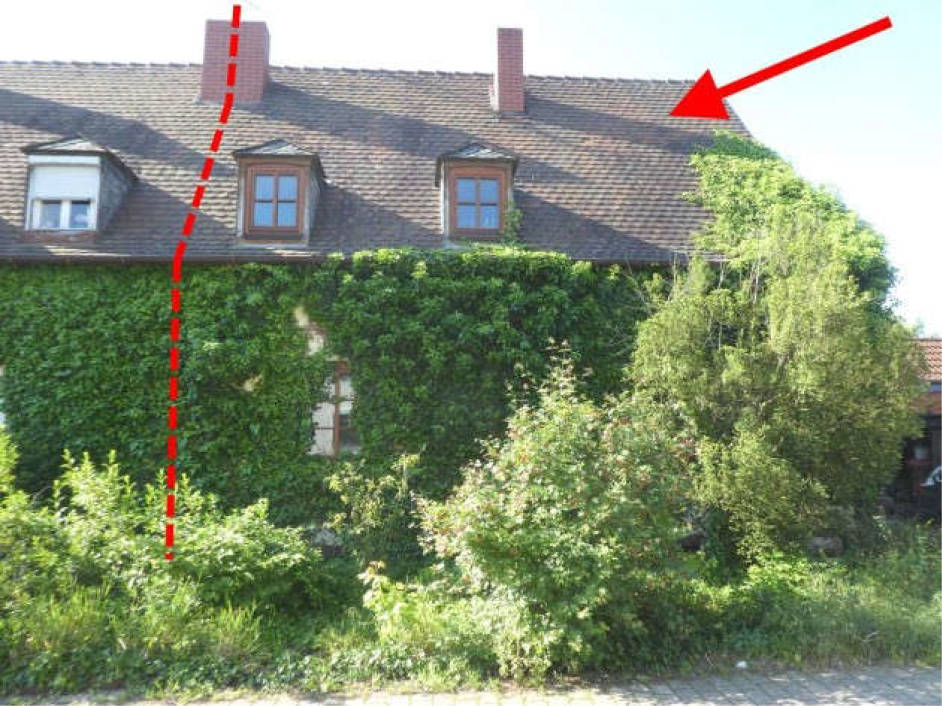 Einfamilienhaus in Carl-Müller-Straße 10, 67133 Maxdorf - Bild 5