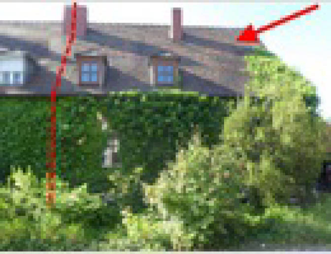 Einfamilienhaus in Carl-Müller-Straße 10, 67133 Maxdorf