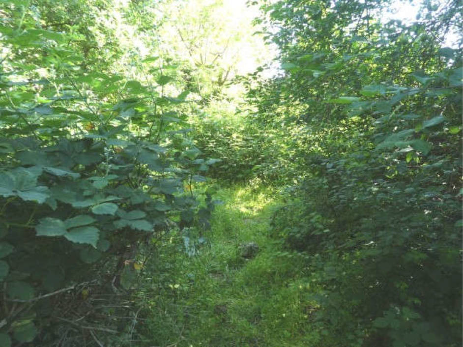 rheinland-pfalz 3 K 69/23 Carl-Müller-Straße 10, 67133 Maxdorf 20