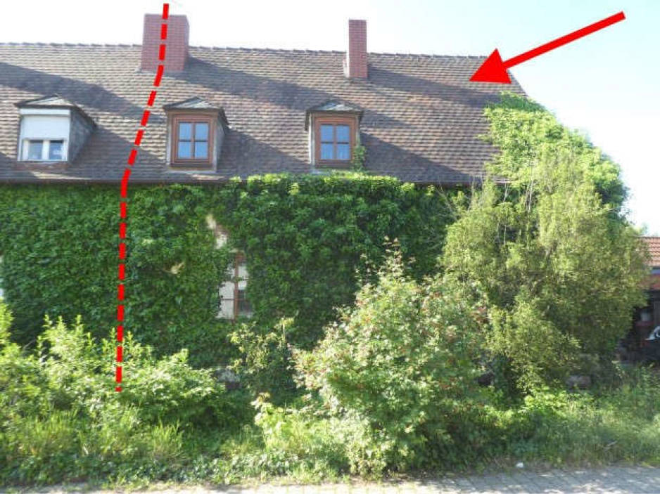 rheinland-pfalz 3 K 69/23 Carl-Müller-Straße 10, 67133 Maxdorf 13