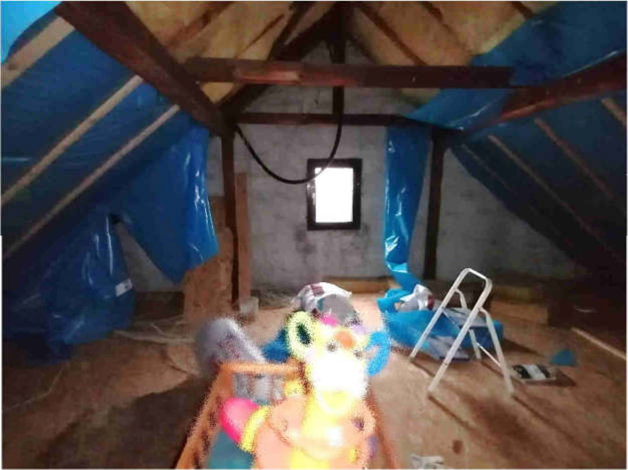 rheinland-pfalz 3 K 71/23 Hauptstraße 28, 67125 Dannstadt-Schauernheim 13