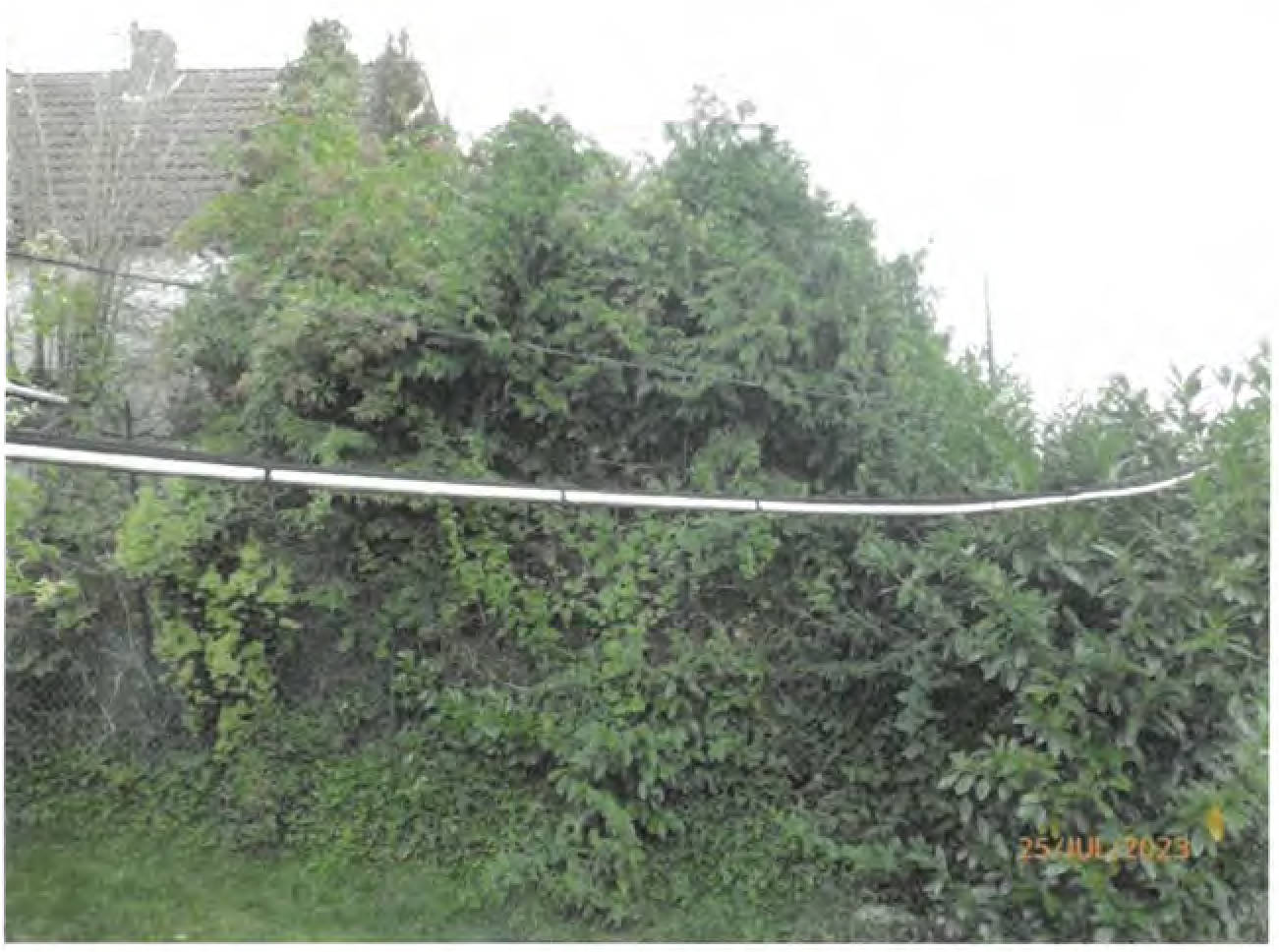 rheinland-pfalz 35 K 17/23 Stromberger Str. 49, 55444 Dörrebach 9