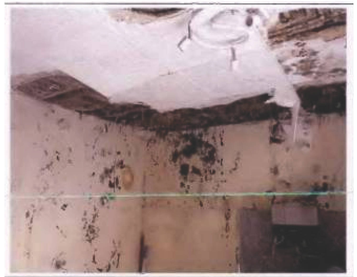 rheinland-pfalz 36 K 22/24 Kegelbahn 8, 55499 Riesweiler 7