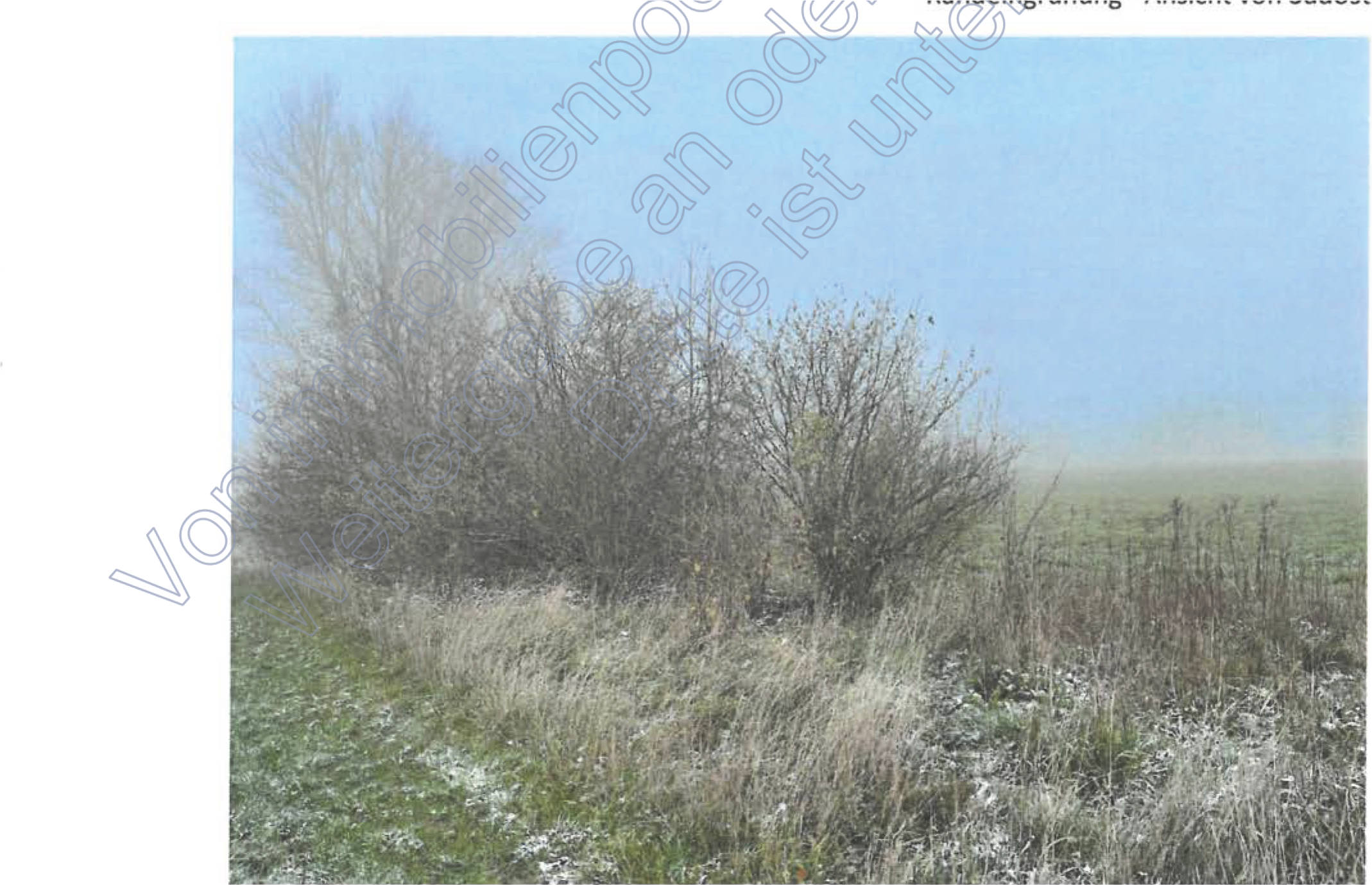 rheinland-pfalz 36 K 61/21 Ringstraße 10, 56288 Bell (Hunsrück) 9