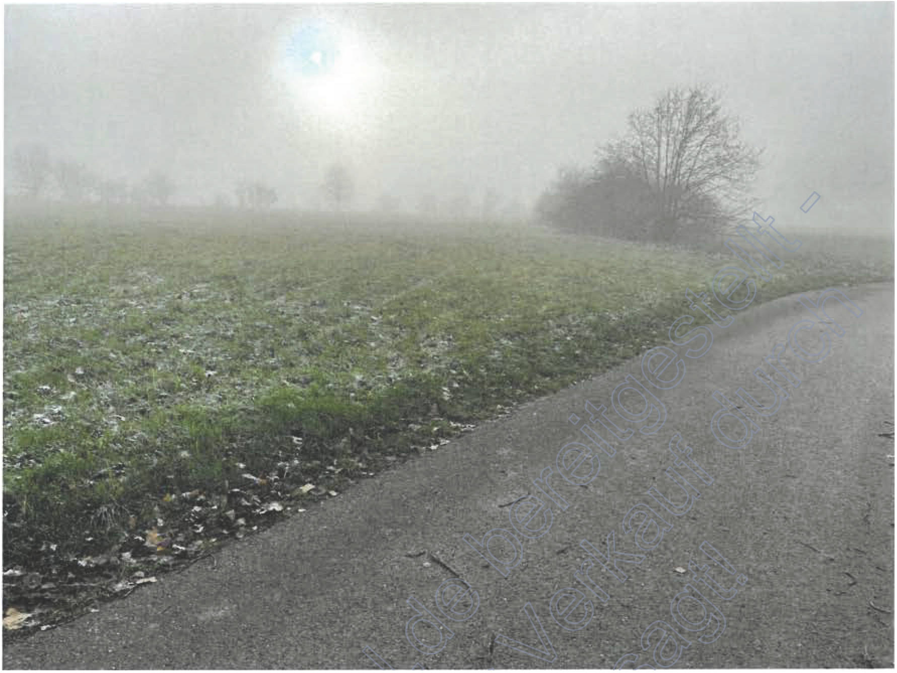 rheinland-pfalz 36 K 61/21 Ringstraße 10, 56288 Bell (Hunsrück) 7
