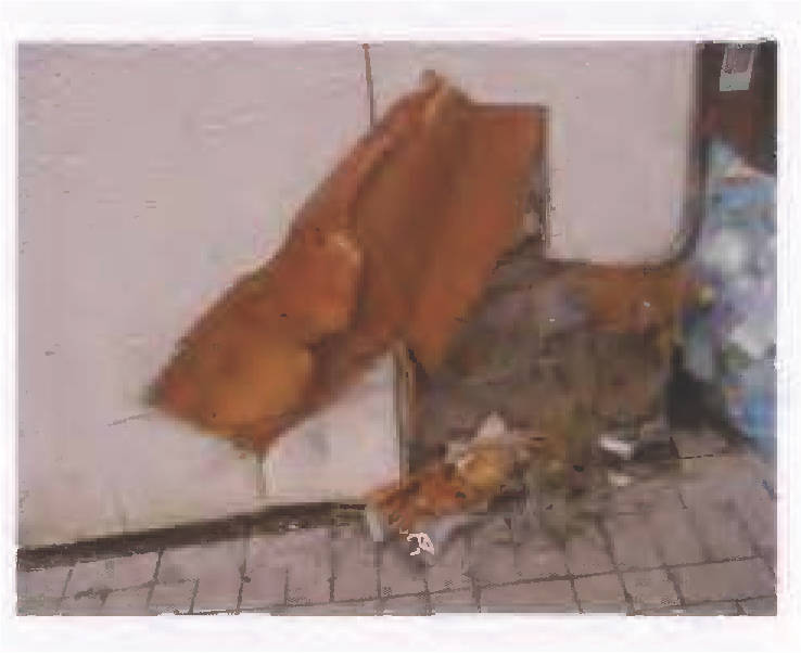 rheinland-pfalz 36 K 61/24 Gaustraße 9, 55444 Schweppenhausen 11