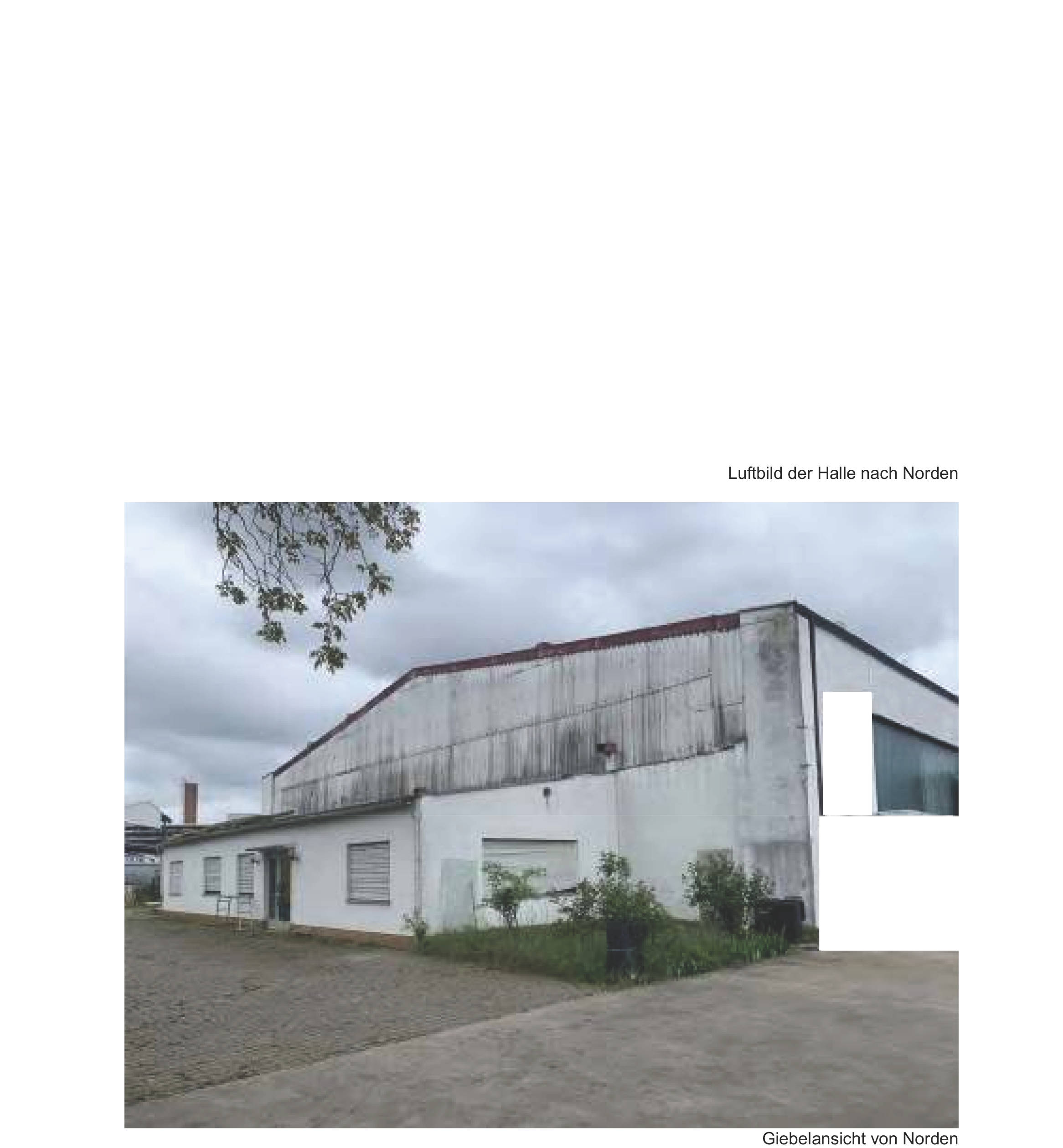 Lagerhalle in Josef-Katterfeld-Straße 9, 67240 Bobenheim-Roxheim - Bild 4