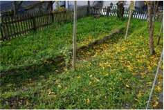 rheinland-pfalz 6 K 13/25 56850 Enkirch 13