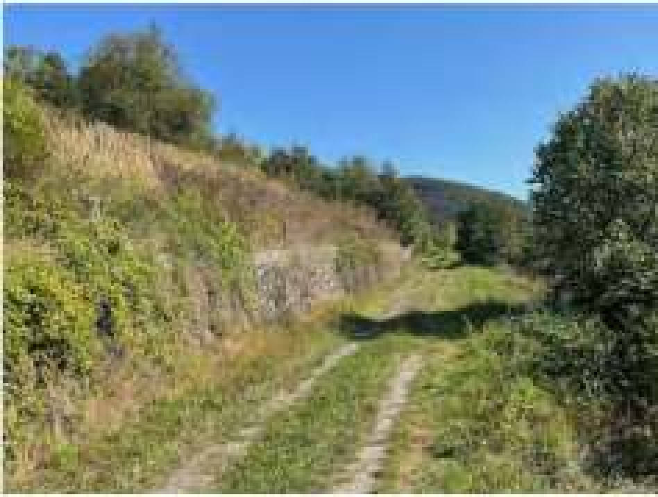 rheinland-pfalz 0006 K 0003/2024 56850 Enkirch 30