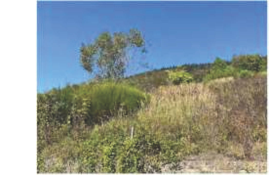 rheinland-pfalz 0006 K 0003/2024 56850 Enkirch 26