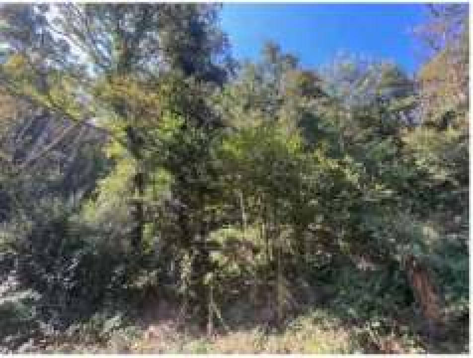 rheinland-pfalz 0006 K 0003/2024 56850 Enkirch 21