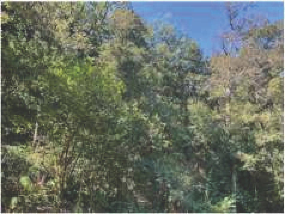 rheinland-pfalz 0006 K 0003/2024 56850 Enkirch 33