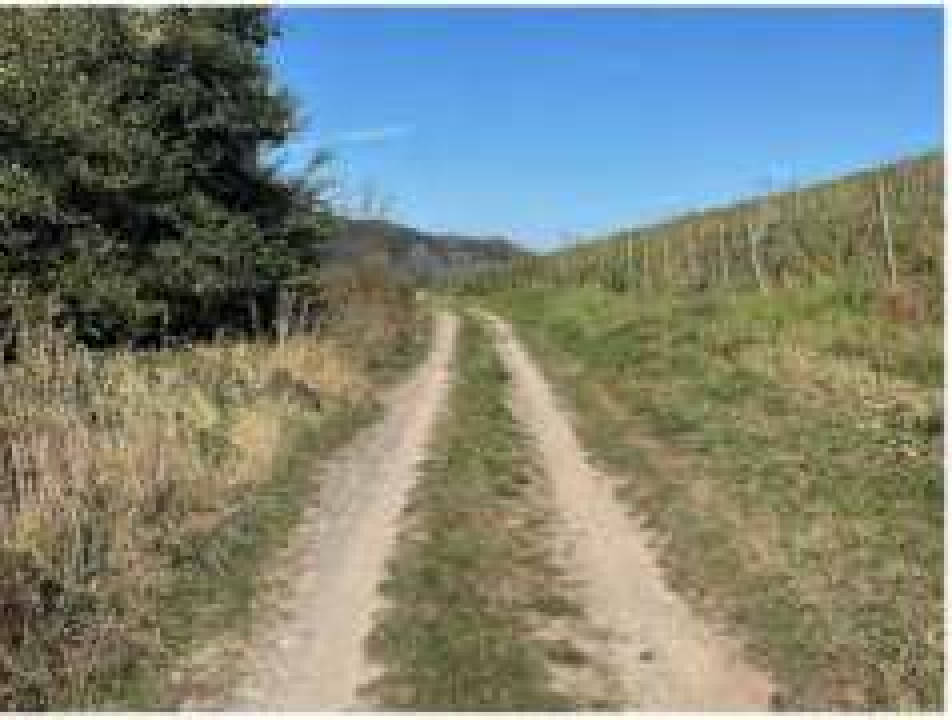 rheinland-pfalz 0006 K 0003/2024 56850 Enkirch 19