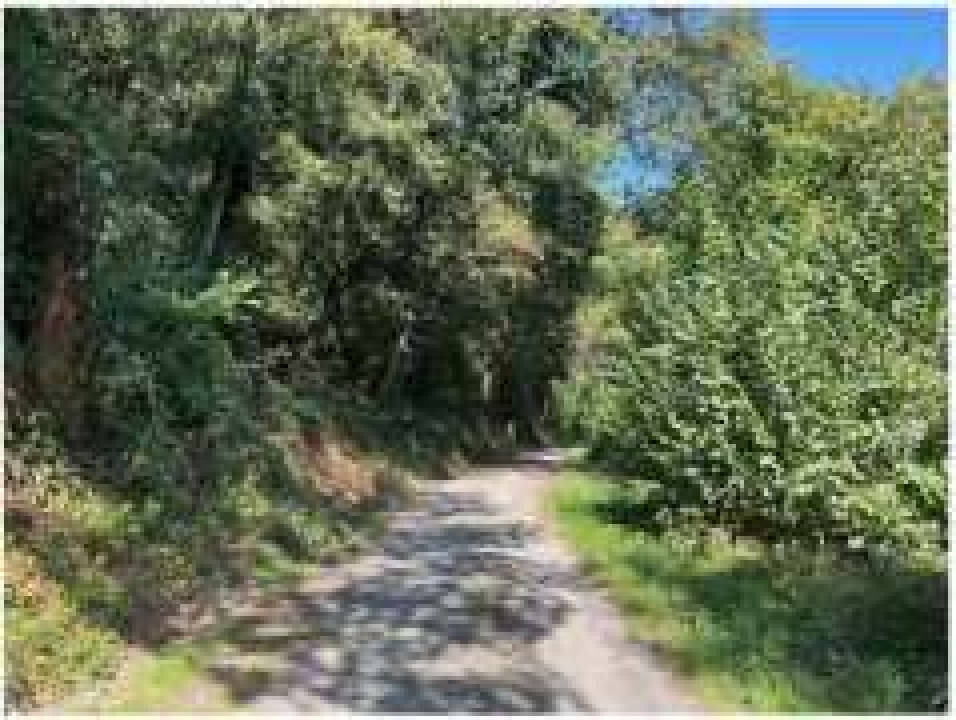 rheinland-pfalz 0006 K 0003/2024 56850 Enkirch 18