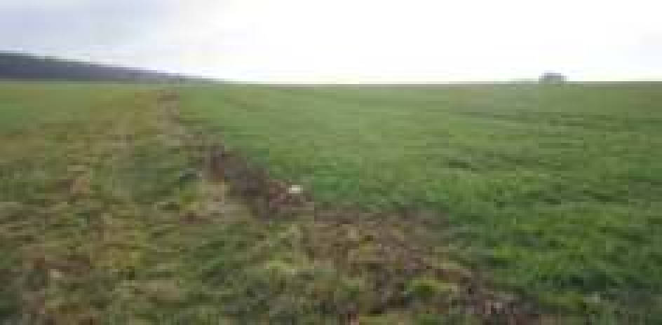 rheinland-pfalz 0006 K 0003/2024 56850 Enkirch 8