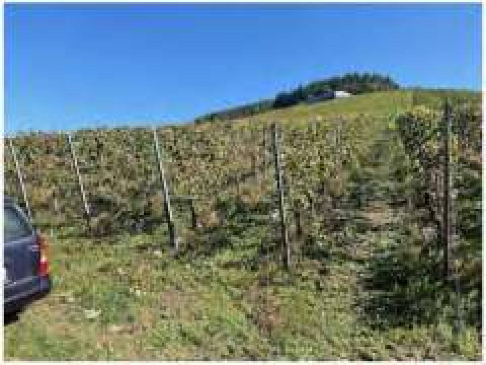 rheinland-pfalz 0006 K 0003/2024 56850 Enkirch 6