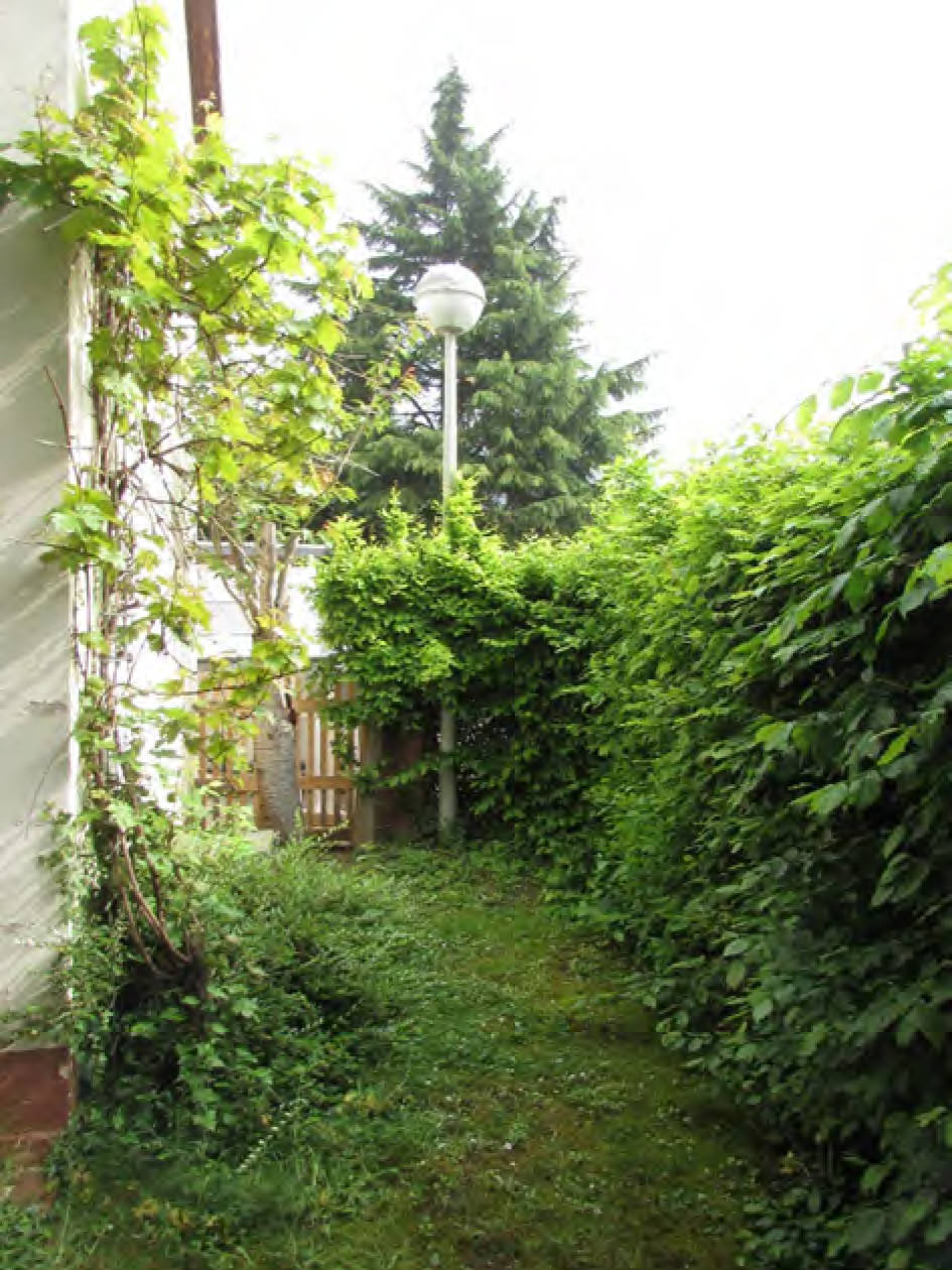 rheinland-pfalz 6 K 31/23 An der alten Rheinbrücke 1 und 3, 53424 Remagen 13