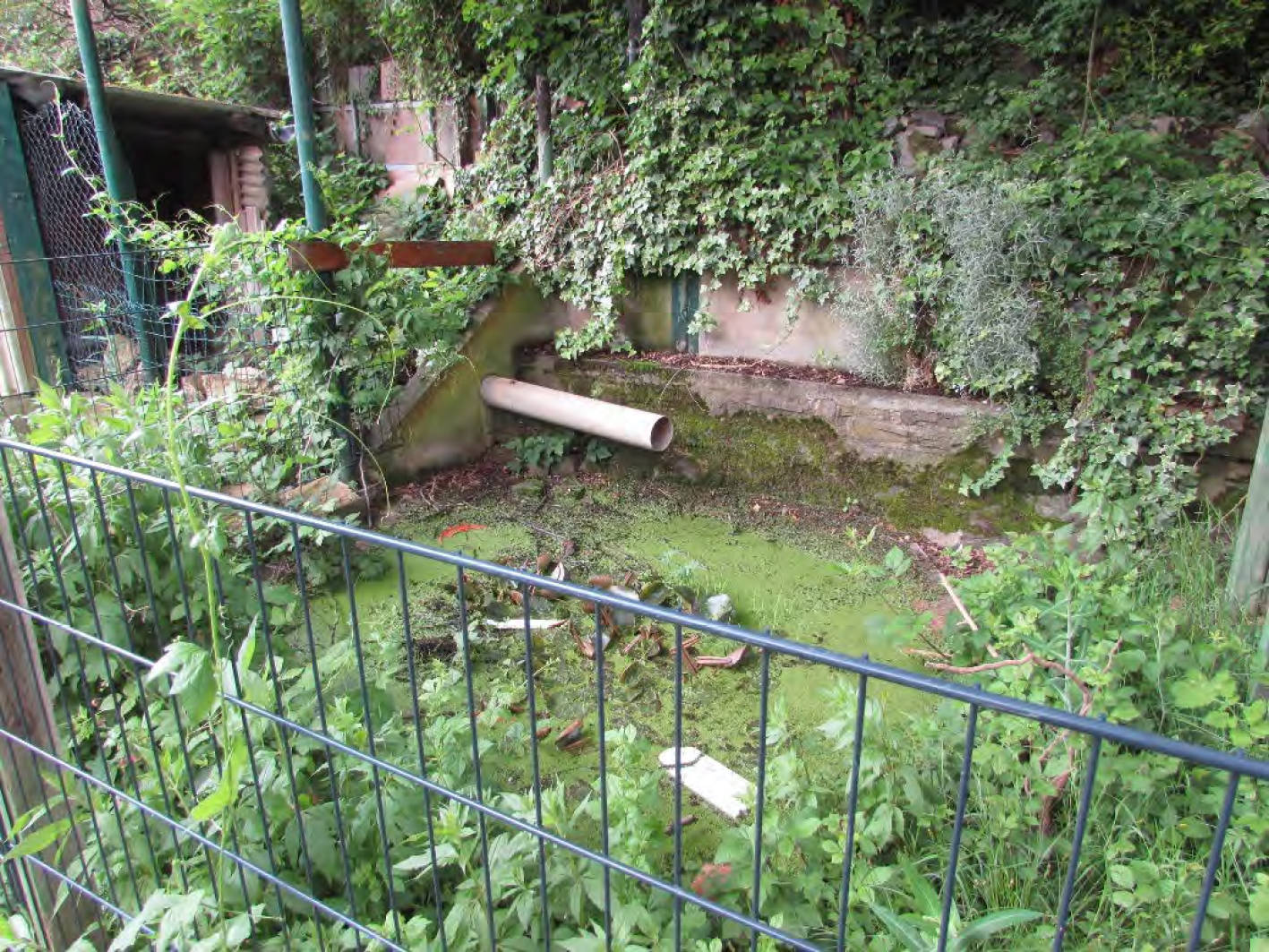 rheinland-pfalz 6 K 31/23 An der alten Rheinbrücke 1 und 3, 53424 Remagen 12