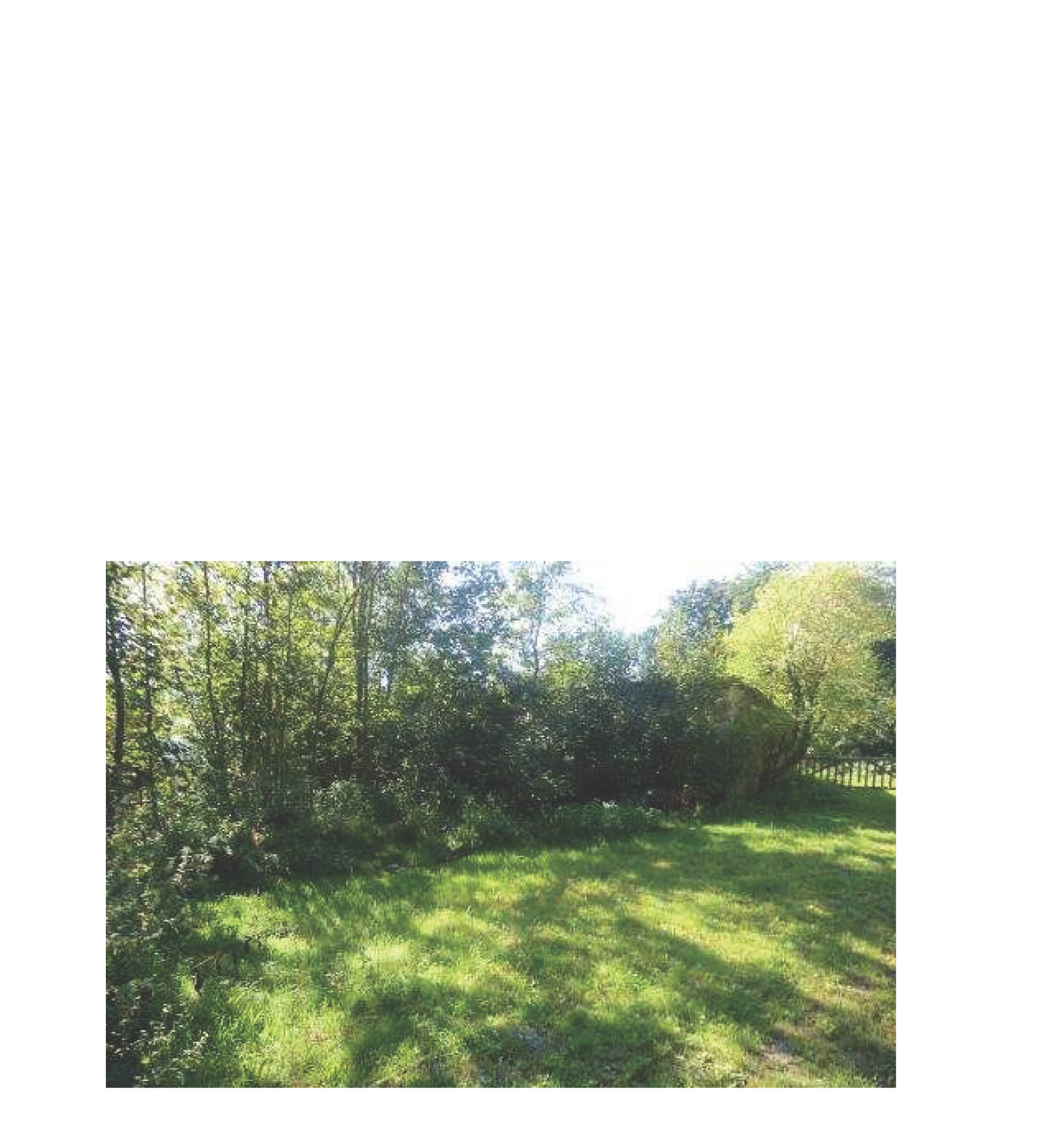 rheinland-pfalz 6 K 4/23 Tannenhof 1, 56355 Kehlbach 27
